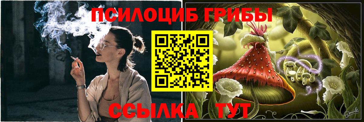 Псилоцибиновые грибы мицелий Муравленко